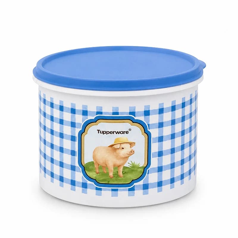Tupperware Tupper Caixa Porquinho da Roca 1,1 litro
