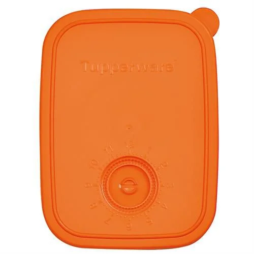 Tampa Freezertime 300ml e 1 litro Tupperware