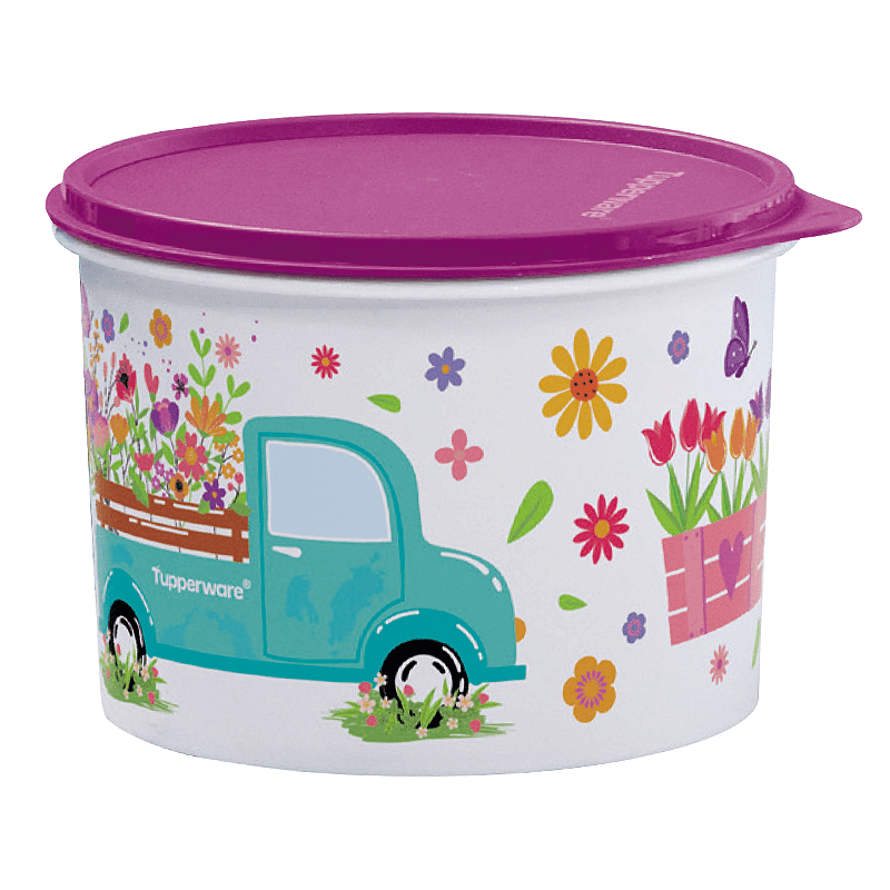 Tupper Caixa Caminho das Flores 2.4l