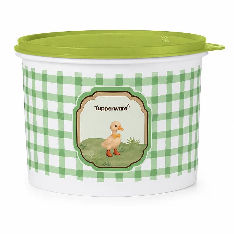 Tupperware Tupper Caixa Patinho da Roca 2,4 litros